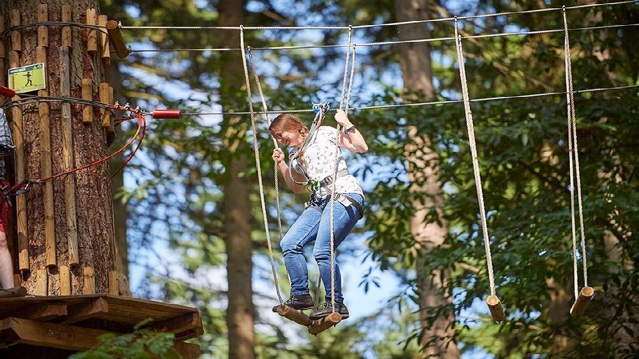 Go Ape Crawley - Girl high in the trees on ropes