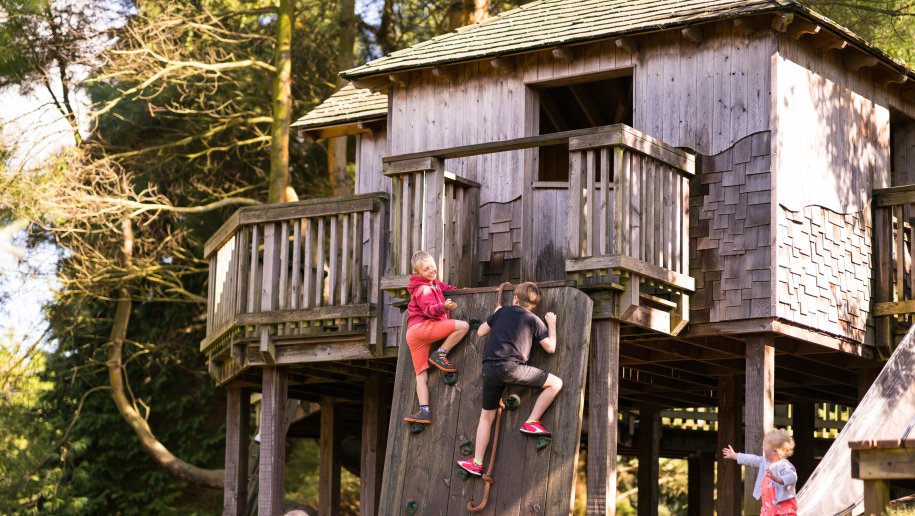 Sir Harold Hillier Gardens - Two boys climbing up side of treehouse