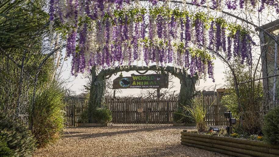 Paradise Wildlife Park - World animal sign with wisteria in front of it
