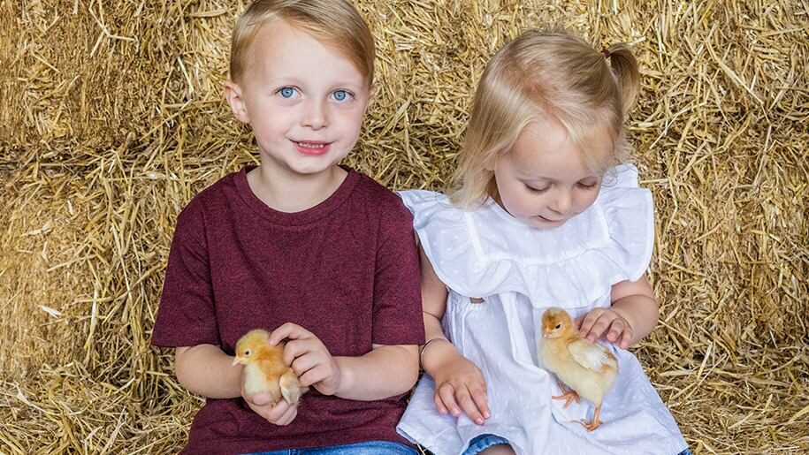 Longdown Activity Farm - Boy and gild holding chicks