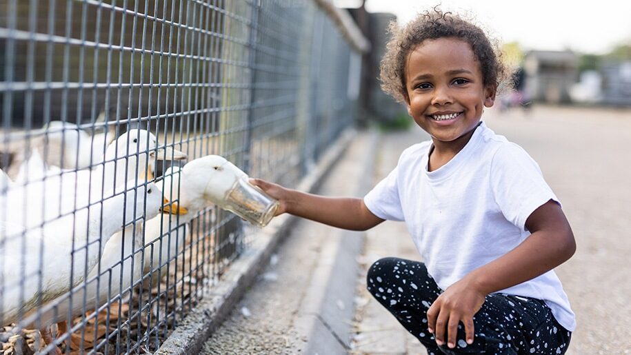 Longdown Activity Farm - Boy feeding a duck