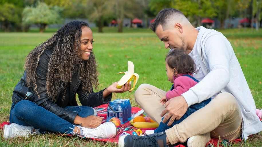 family picnic in the park