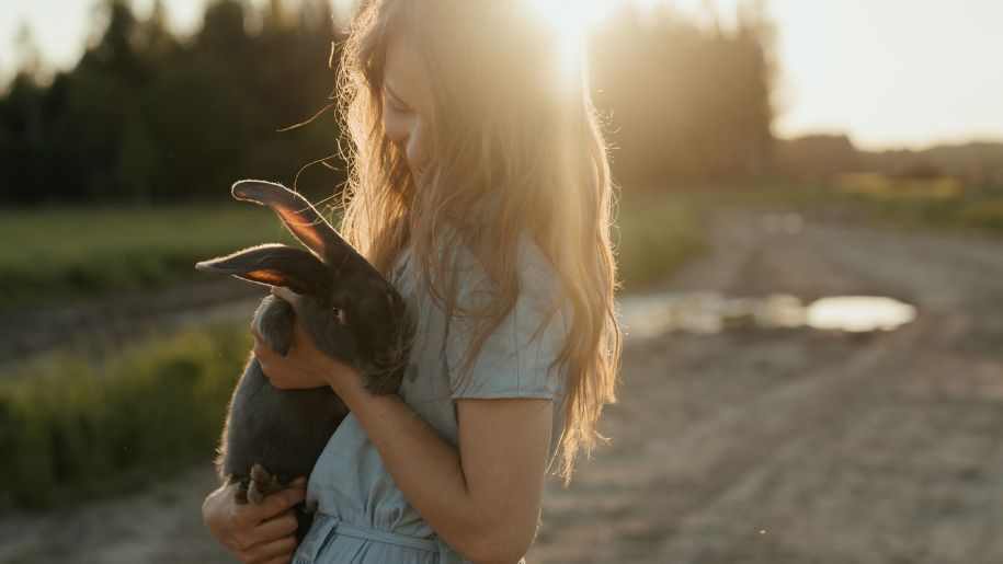 girl holding rabbit on farm sunset