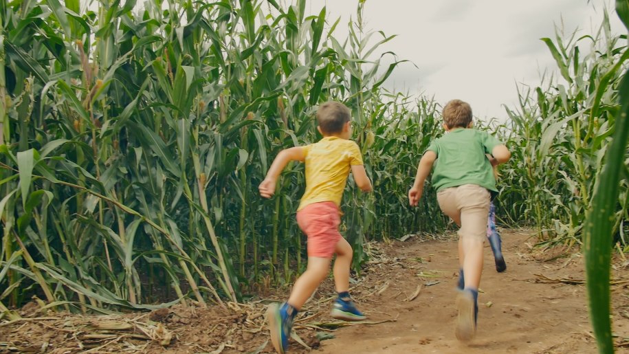 children running through maize maze at PLAY @ Lower Drayton Farm