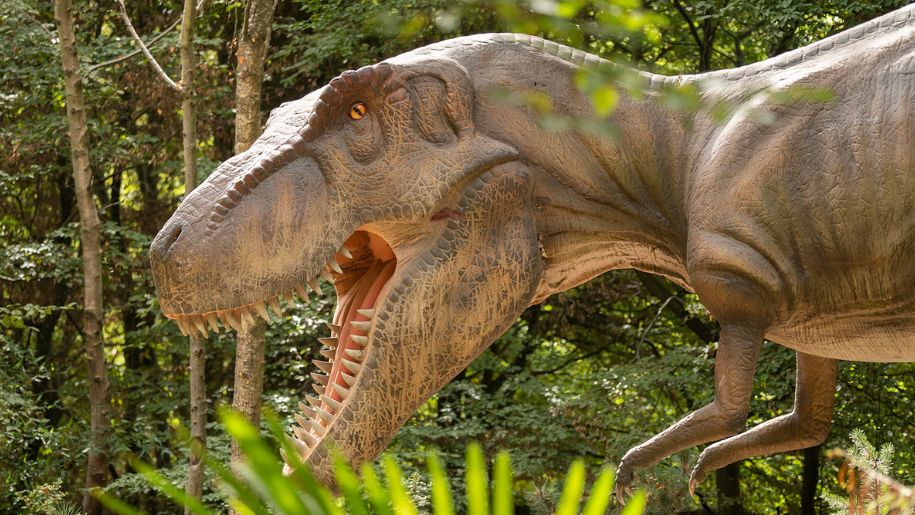 Life-size dinosaur sculpture at Paradise Wildlife Park