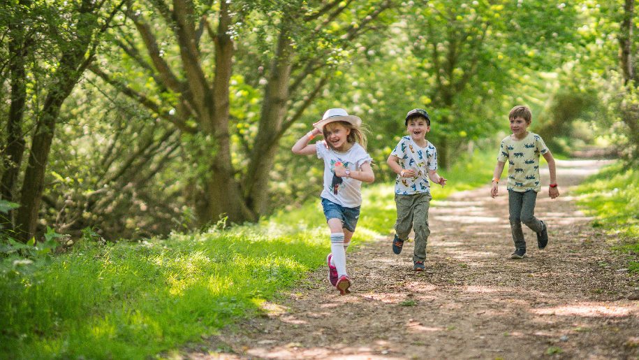 Pensthorpe Park Children running on path in woods