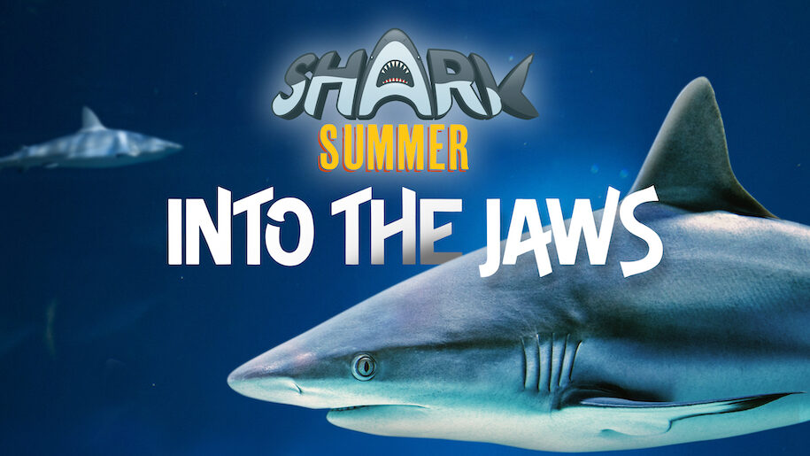 Graphic with shark close up, Into the Jaws title