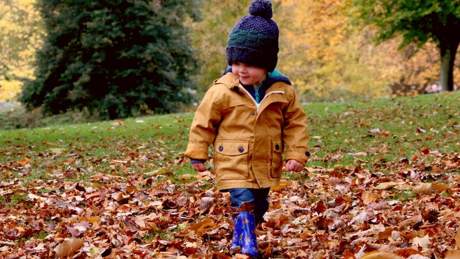 Young child walking over autumn leaves.