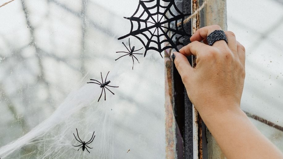 Window decorated with spiders and cobweb for Halloween.