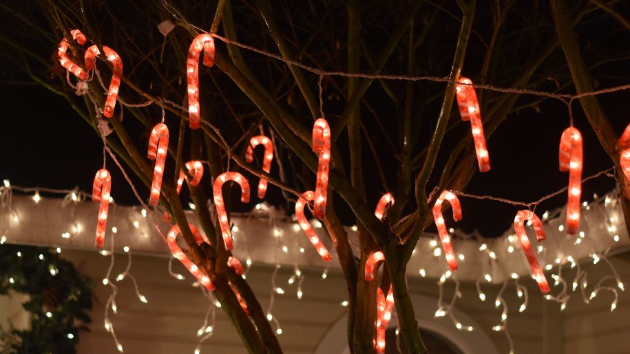 Candy canes and Christmas lights.