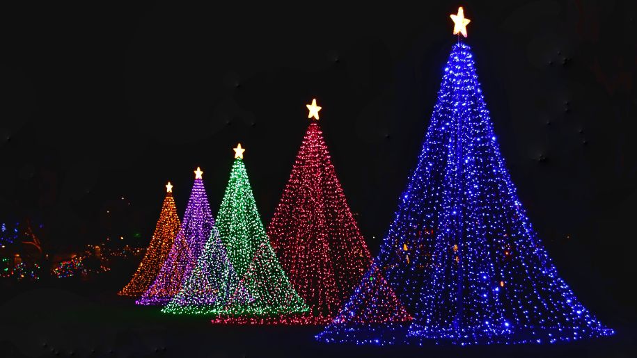 Light installations in the shape of Christmas trees.