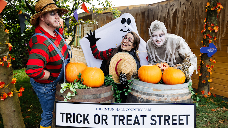 Characters and ghost on Trick or Treat Stree at Thornton hall Farm