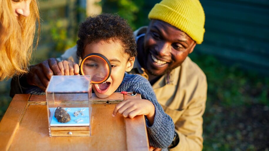 WWT Arundel Eek! Week! boy looking at bug with a microscope