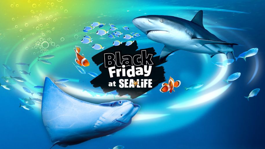 SEA LIFE Black Friday offer