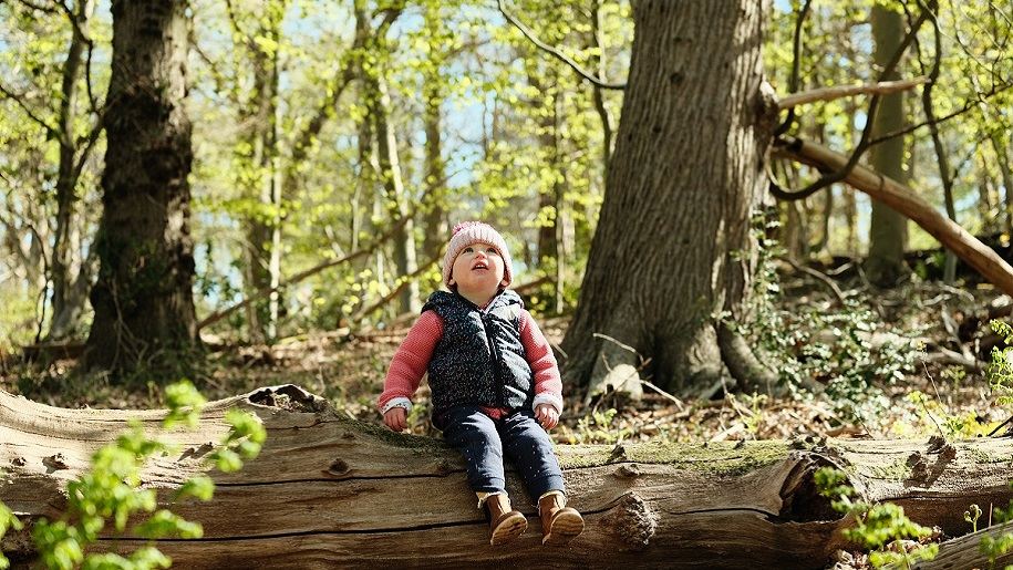 Holkam Little girl sitting on log