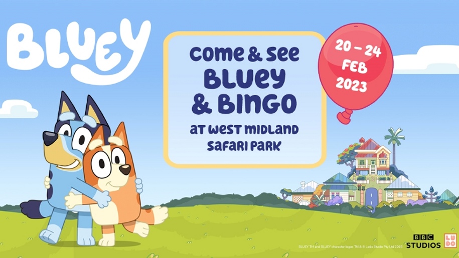 Poster for Bluey and Bingo event at West Midland Safari Park