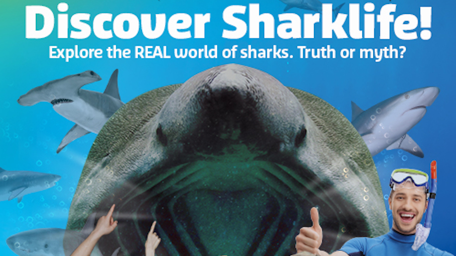 Sea Life Manchester Discover Sharklife event with shark mouth and diver