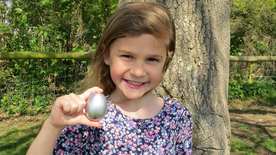 Longdown little girl holding silver egg