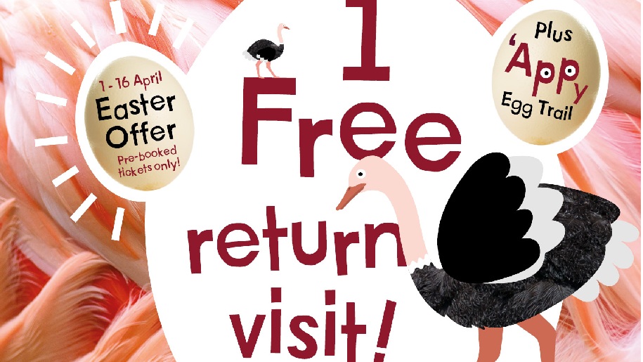 Marwell Zoo Banner Easter 1 free return