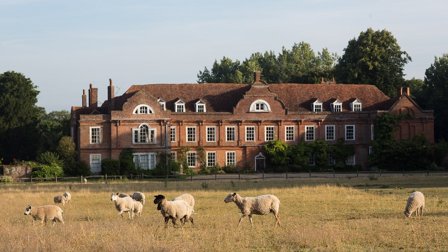 West Horsley Place Sheep in foreground of house