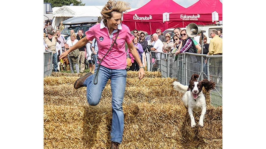 Owner and their dog taking part in event at Wiltshire Game & Country Fair at Bowood.