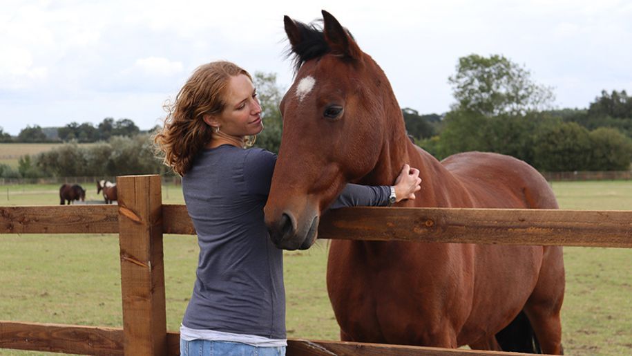A woman petting a horse at Redwings Horse Sanctuary 915x515