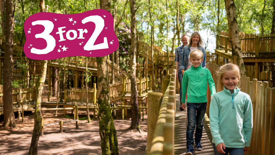 Family walking across bridge BeWILDerwood Cheshire