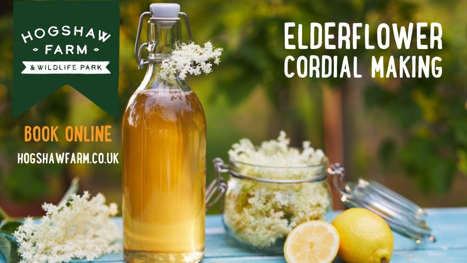 Poster for the cordial making event at Hogshaw Farm & Wildlife Park in Buckinghamshire.