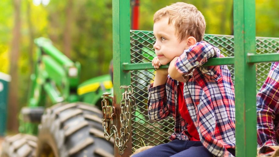 Child enjoying the farm safari around Hogshaw Farm in Buckinghamshire.