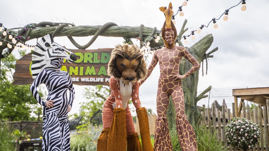 Paradise Wildlife Park Zebra lion and giraffe dress up