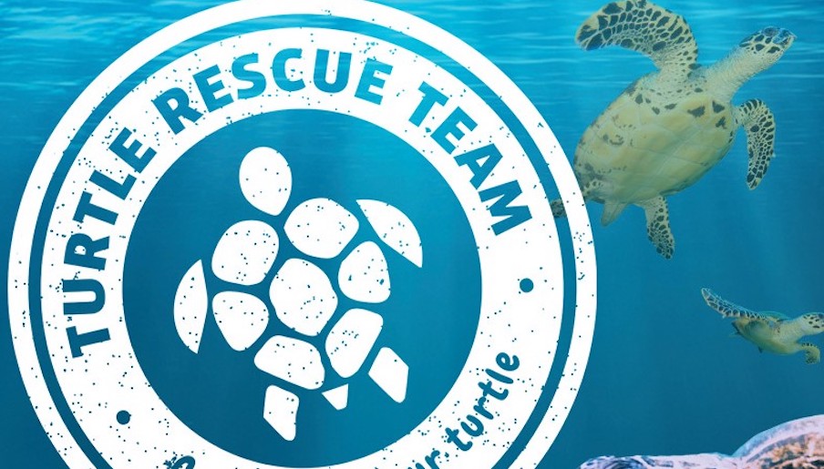 Sea Life Manchester Turtle Rescue badge