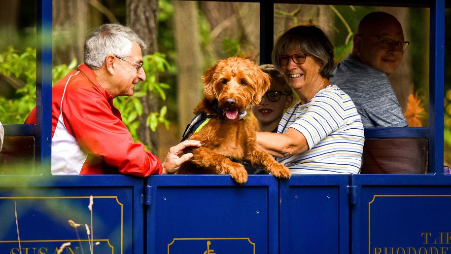 A family of 3 and a dog riding the train at Exbury Gardens