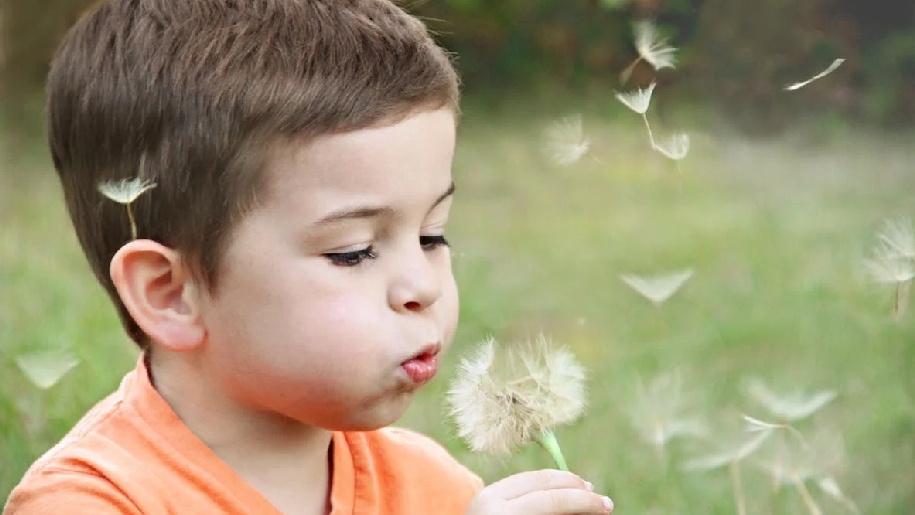 Generic image of boy blowing on a dandelion