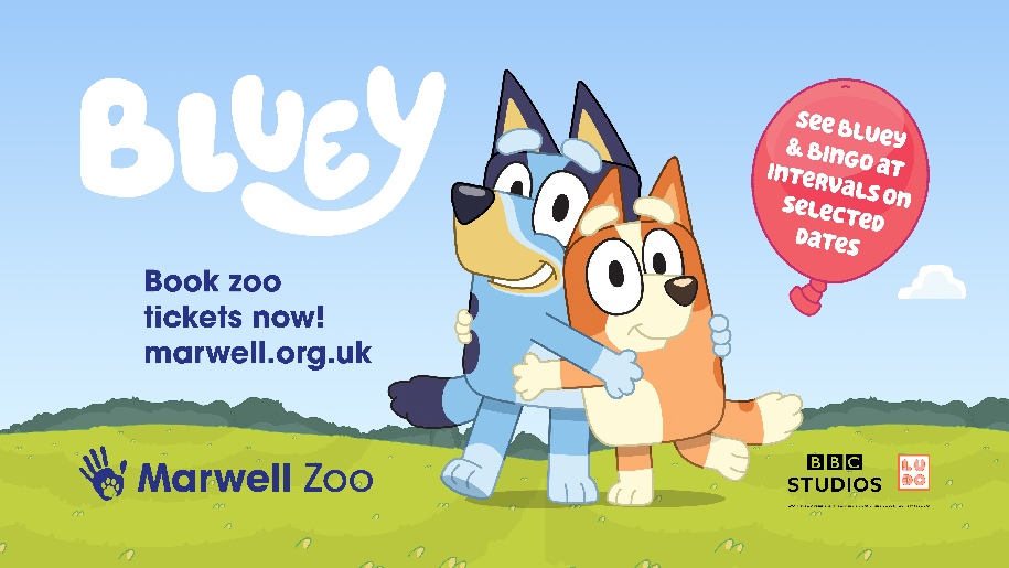 Marwell Zoo Summer Bluey and Bingo Poster