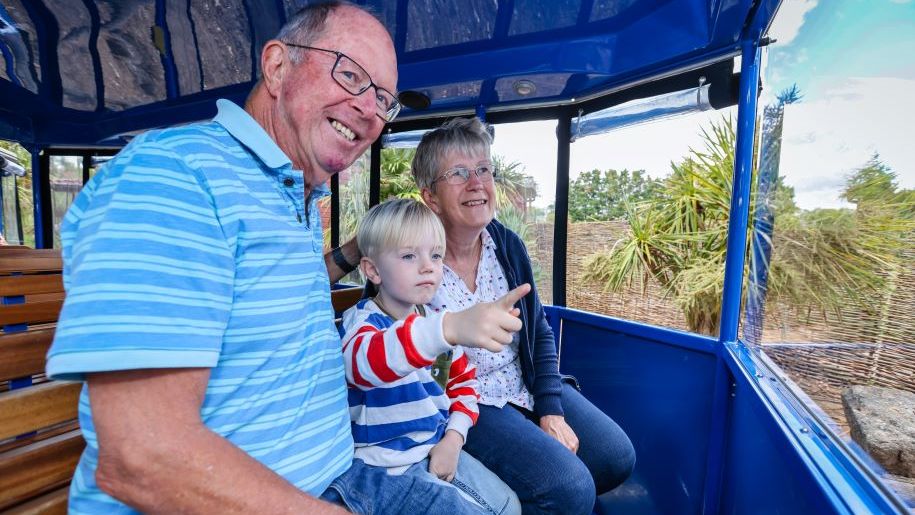 A senior man and women with a toddler on a train ride at Marwell Zoo