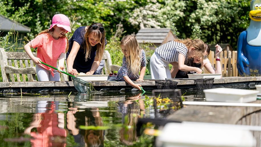 Family pond dipping at WWT Arundel Wetland Centre