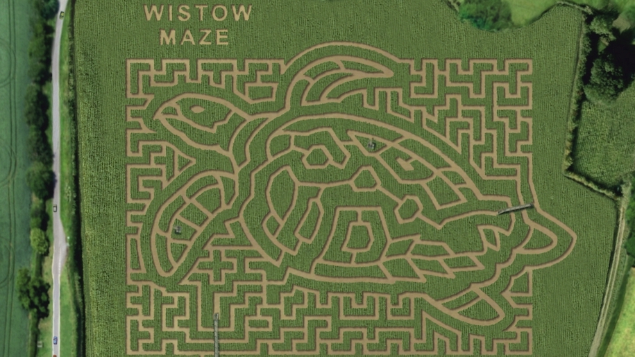 Wistow Maze maize maze design for 2023 green Sea Turtle