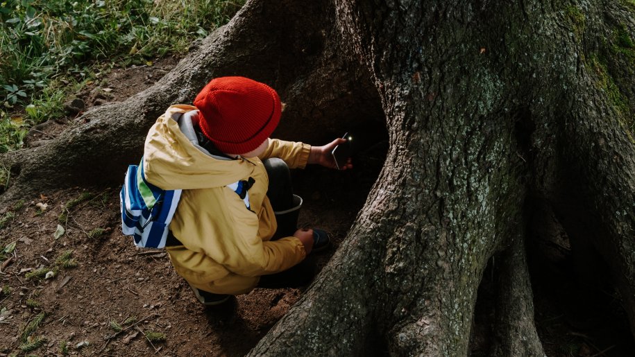 Child looking at a tree trunk on a nature walk.