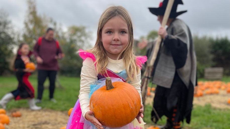 A child holding a pumpkin at Hogshaw Farm & Wildlife Park.