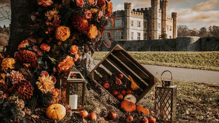 Leeds Castle Halloween 2023 Dried pumpkins and a crate in front of a tree with Castle in background
