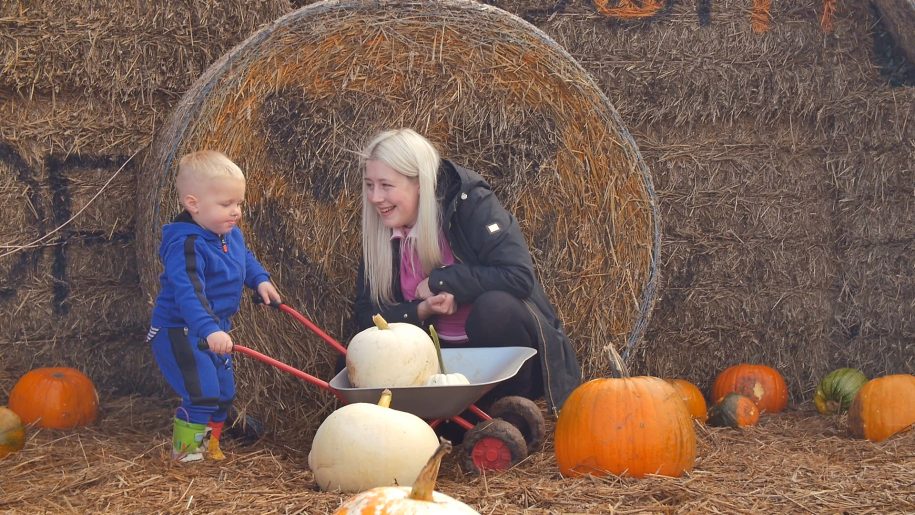 A child pushing a wheelbarrow with a pumpkin at Lower Drayton Farm.