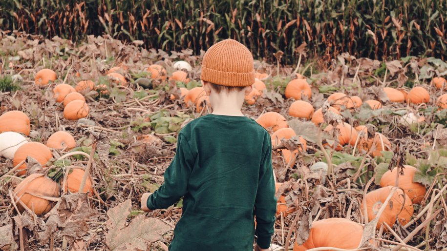 A child choosing a pumpkin for Halloween.