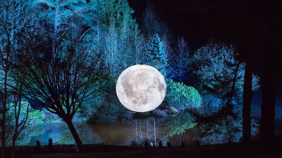 Leonardslee Lakes and Gardens Illuminations with a big moon in front of trees