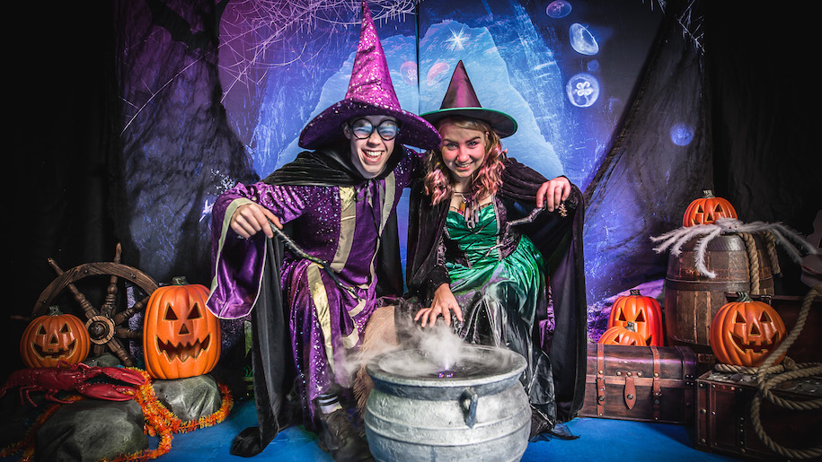 Boy and girl witches over cauldron at Sea Life for Halloween