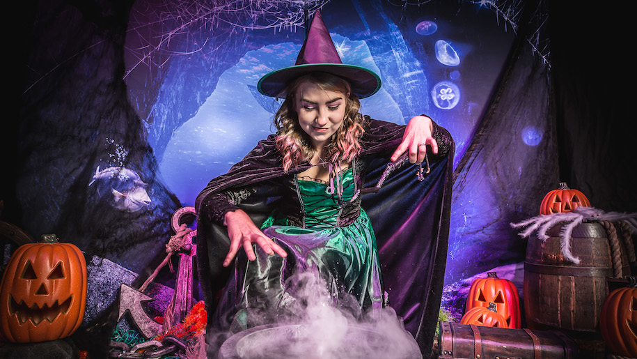 Witch with hands over cauldron at Sea Life for Halloween