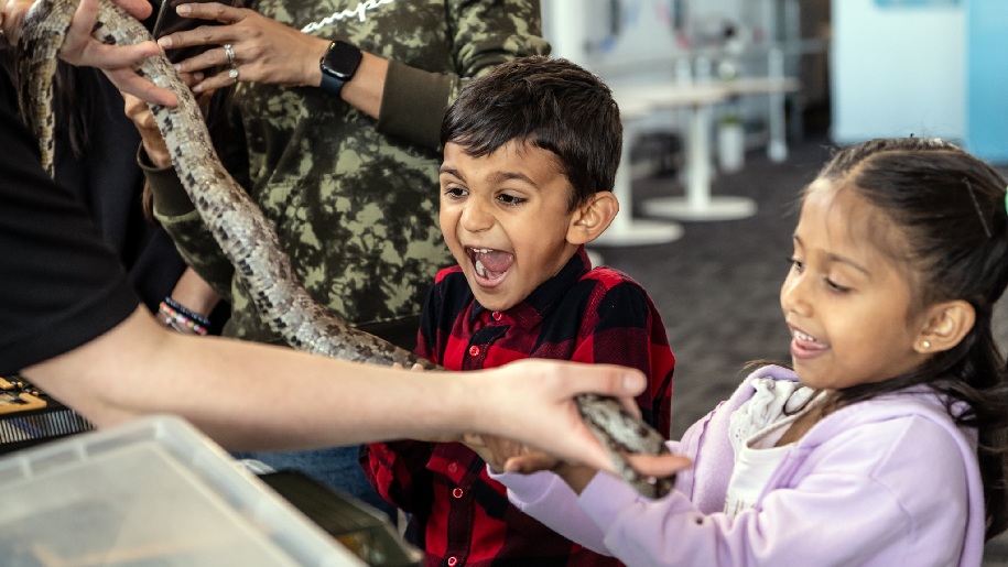 Winchester Science Centre Boy and girl touching a snake