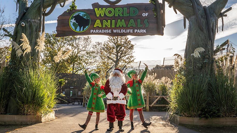 Santa posing at Paradise Wildlife Park with elves 