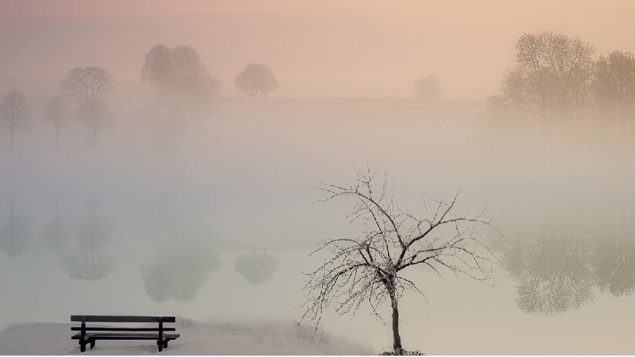 Generic winter water scence at lake with bare tree and bench