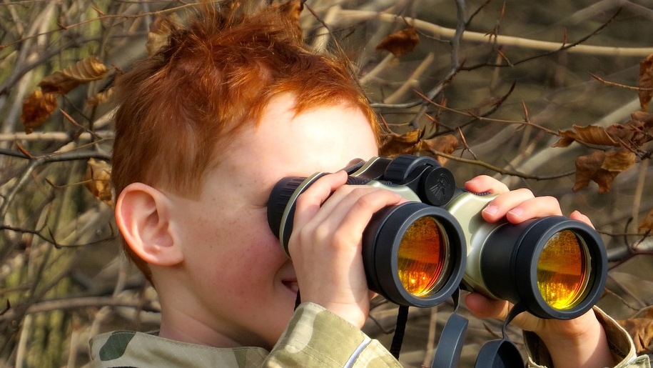 Generic child holding binoculars and birdwatching