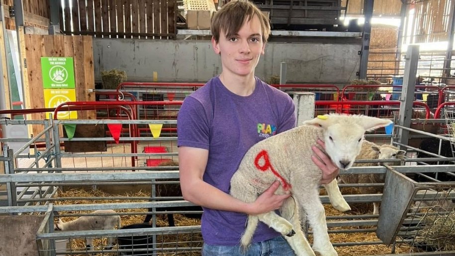 Lower Drayton Farm team member holding an older lamb.